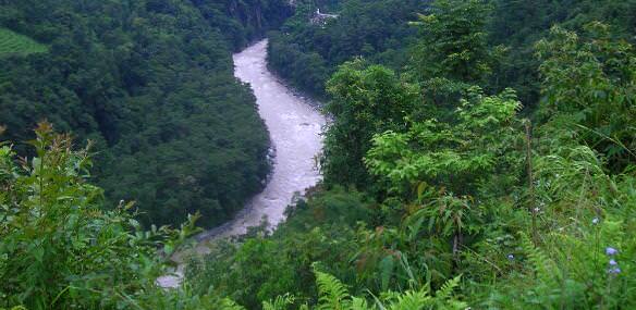 Teesta embedded in rich Vegetation