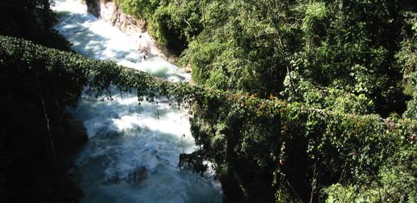 At the upper Reaches of Teesta