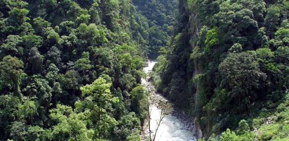 Dzongu